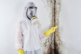 Professional Mold Remediation in Salado, TX